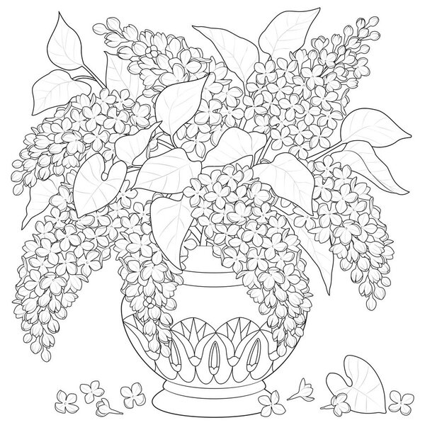 Bouquet of lilacs in a vase with an ornament. Black and white. Art therapy Coloring page. Vector illustration