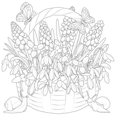 Basket with spring flowers. Snowdrops, muscari. Butterflies and snails. Black and white. Art therapy Coloring page for kids and adults. Vector illustration