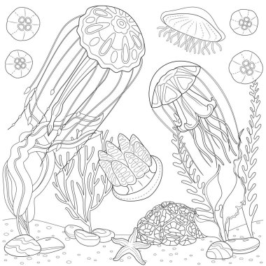Jellyfish graphic black white isolated sketch illustration vector. Art therapy Coloring page for kids and adults. 