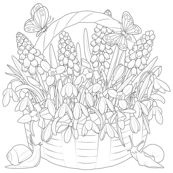 Basket with spring flowers. Snowdrops, muscari. Butterflies and snails. Black and white. Art therapy Coloring page for kids and adults. Vector illustration