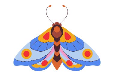 Renkli Kelebek logosu izole edildi. Kelebek çizimi. Beyaz arka planda izole edilmiş güzel böcekler. Bahar mevsimleri kelebeği. tasarım elemanı. Vektör illüstrasyonu