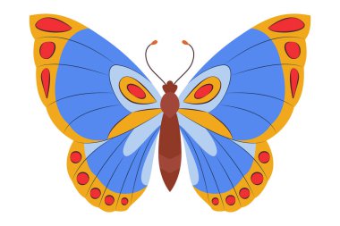 Renkli Kelebek logosu izole edildi. Kelebek çizimi. Beyaz arka planda izole edilmiş güzel böcekler. Bahar mevsimleri kelebeği. tasarım elemanı. Vektör illüstrasyonu