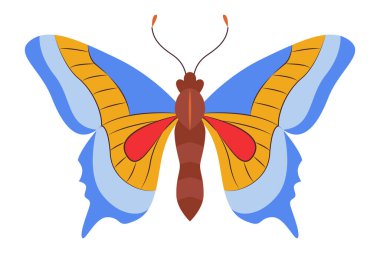 Renkli Kelebek logosu izole edildi. Kelebek çizimi. Beyaz arka planda izole edilmiş güzel böcekler. Bahar mevsimleri kelebeği. tasarım elemanı. Vektör illüstrasyonu