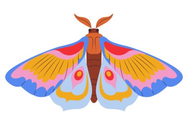 Renkli Kelebek logosu izole edildi. Kelebek çizimi. Beyaz arka planda izole edilmiş güzel böcekler. Bahar mevsimleri kelebeği. tasarım elemanı. Vektör illüstrasyonu