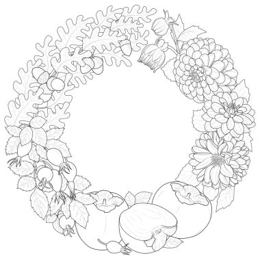 Sonbahar çelenk dekoratif kenarı. Yıldız çiçekleri, meşe yaprakları, gül üzümü ve hurma ağaçları. Siyah ve beyaz. Sanat terapisi boyama sayfası. Vektör illüstrasyonu