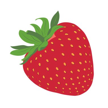 Çilekli. Kırmızı böğürtlen. El çizimi düz vektör çizimi beyaza izole edilmiş. Vektör illüstrasyonu