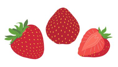 Çilekli. Kırmızı böğürtlen. El çizimi düz vektör çizimi beyaza izole edilmiş. Vektör illüstrasyonu