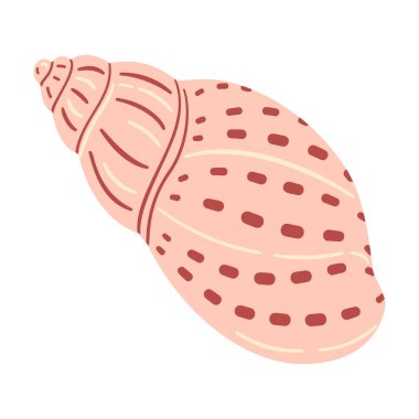 Babil Denizkabuğu. El çizimi karikatür tarzı düz deniz kabuğu beyaz arka planda izole edilmiş. Vektör illüstrasyonu