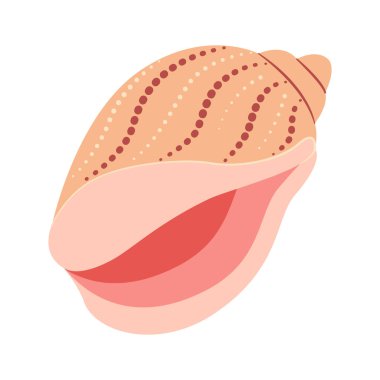 Babil Denizkabuğu. El çizimi karikatür tarzı düz deniz kabuğu beyaz arka planda izole edilmiş. Vektör illüstrasyonu