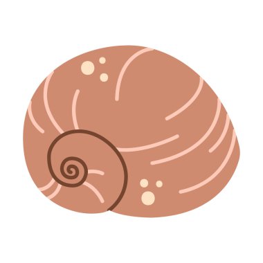 El yapımı deniz kabuğu. Çizgi film tarzı düz deniz kabuğu beyaz arka planda izole edilmiş. Vektör illüstrasyonu