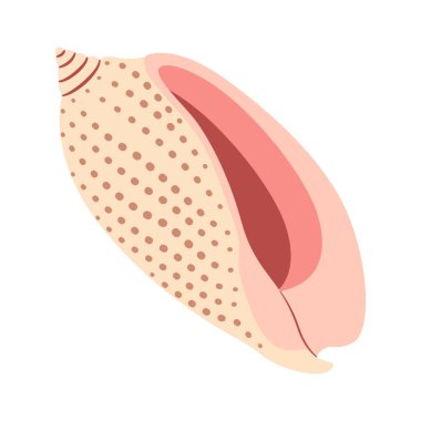 El yapımı Volute Seashell. Çizgi film tarzı düz deniz kabuğu beyaz arka planda izole edilmiş. Vektör illüstrasyonu