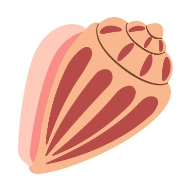 El yapımı Cone Seashell. Çizgi film tarzı düz deniz kabuğu beyaz arka planda izole edilmiş. Vektör illüstrasyonu