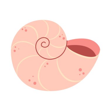 Nautilus pompilius Hand Deniz kabuğu çizmiş. Çizgi film tarzı düz deniz kabuğu beyaz arka planda izole edilmiş. Vektör illüstrasyonu