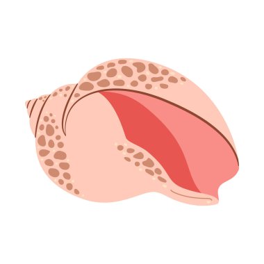 Babil Denizkabuğu. El çizimi karikatür tarzı düz deniz kabuğu beyaz arka planda izole edilmiş. Vektör illüstrasyonu