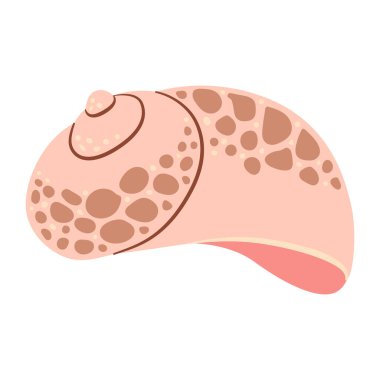 Babil Denizkabuğu. El çizimi karikatür tarzı düz deniz kabuğu beyaz arka planda izole edilmiş. Vektör illüstrasyonu