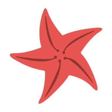 Denizyıldızı El, beyaz arka planda izole edilmiş karikatür tarzı düz deniz kabuğu çizdi. Vektör illüstrasyonu