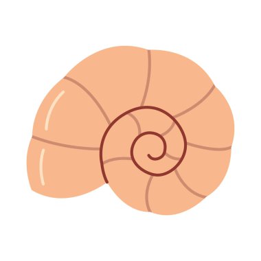 El yapımı deniz kabuğu. Çizgi film tarzı düz deniz kabuğu beyaz arka planda izole edilmiş. Vektör illüstrasyonu