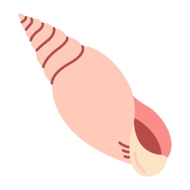 El yapımı deniz kabuğu. Çizgi film tarzı düz deniz kabuğu beyaz arka planda izole edilmiş. Vektör illüstrasyonu