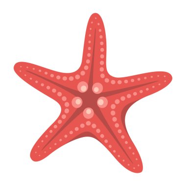 Düz denizyıldızı stili. Kırmızı denizyıldızı ikonu. Deniz hayvanı çizgi film stili. Echinoderm. Deniz altı ikonu beyaz arka planda izole edildi. Yaz vektörü illüstrasyonu