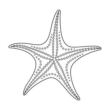 Denizyıldızı vektör çizimi. Çocuklar ve yetişkinler için siyah-beyaz Denizyıldızı Boyama sayfası. Rahatlama ve meditasyon için çağrı bırakın. Vektör illüstrasyonu