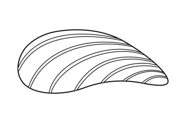 Deniz kabuğu vektör çizimi. Çocuklar ve yetişkinler için deniz kabuğu boyama sayfası. Rahatlama ve meditasyon için çağrı bırakın. Vektör illüstrasyonu
