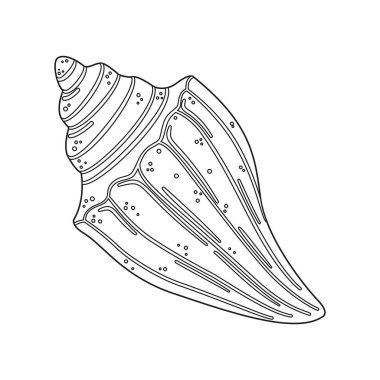 Deniz kabuğu vektör çizimi. Çocuklar ve yetişkinler için deniz kabuğu boyama sayfası. Rahatlama ve meditasyon için çağrı bırakın. Vektör illüstrasyonu