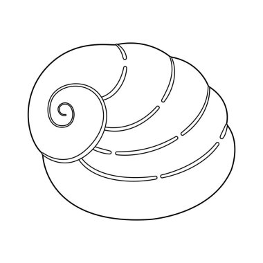 Deniz kabuğu vektör çizimi. Çocuklar ve yetişkinler için deniz kabuğu boyama sayfası. Rahatlama ve meditasyon için çağrı bırakın. Vektör illüstrasyonu