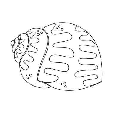 Deniz kabuğu vektör çizimi. Çocuklar ve yetişkinler için deniz kabuğu boyama sayfası. Rahatlama ve meditasyon için çağrı bırakın. Vektör illüstrasyonu