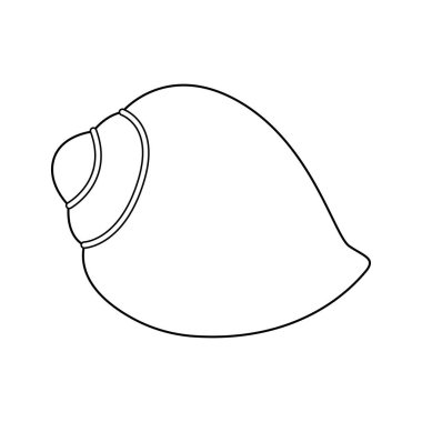 Deniz kabuğu vektör çizimi. Çocuklar ve yetişkinler için deniz kabuğu boyama sayfası. Rahatlama ve meditasyon için çağrı bırakın. Vektör illüstrasyonu