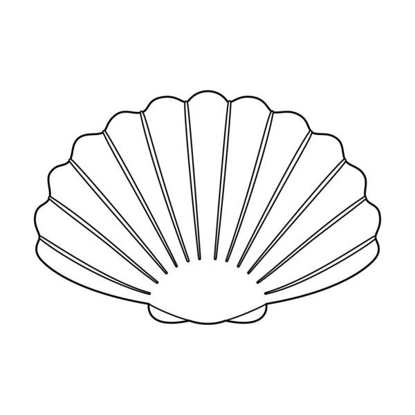 Приморская векторная иллюстрация. Черно-белая раскраска страницы Seashell для детей и взрослых. Страница для отдыха и медитации. Векторная иллюстрация