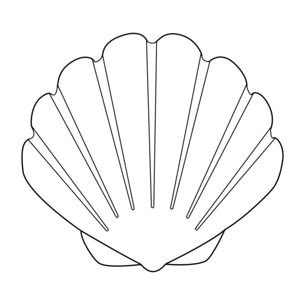Приморская векторная иллюстрация. Черно-белая раскраска страницы Seashell для детей и взрослых. Страница для отдыха и медитации. Векторная иллюстрация