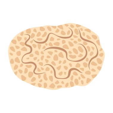 Sünger. Deniz yaban hayatı. El yapımı deniz süngeri. Koloni deniz hayvanı şakayığı. Sualtı tropikal resif bitkisi. Vektör illüstrasyonu