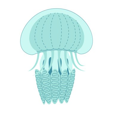 Çizgi film denizanası düz stili. Medusa vektör çizimi. Modern düz resimli denizanası beyaz arka planda izole edilmiş. Vektör illüstrasyonu