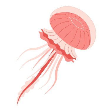 Çizgi film Pembe Denizanası düz stili. Medusa vektör çizimi. Modern düz resimli denizanası beyaz arka planda izole edilmiş. Vektör illüstrasyonu