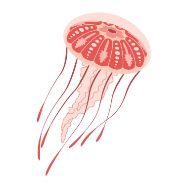 Çizgi film Pembe Denizanası düz stili. Medusa vektör çizimi. Modern düz resimli denizanası beyaz arka planda izole edilmiş. Vektör illüstrasyonu