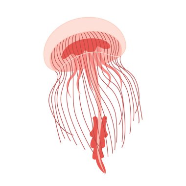 Çizgi film Pembe Denizanası düz stili. Medusa vektör çizimi. Modern düz resimli denizanası beyaz arka planda izole edilmiş. Vektör illüstrasyonu