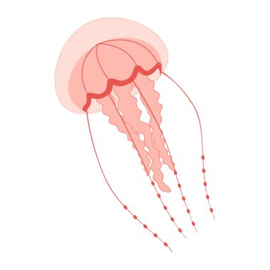 Çizgi film Pembe Denizanası düz stili. Medusa vektör çizimi. Modern düz resimli denizanası beyaz arka planda izole edilmiş. Vektör illüstrasyonu