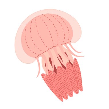 Çizgi film Pembe Denizanası düz stili. Medusa vektör çizimi. Modern düz resimli denizanası beyaz arka planda izole edilmiş. Vektör illüstrasyonu