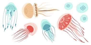 Denizanası çizgi film ikonu koleksiyonu. Medusa moda düz stil ikonu seti. Beyaz arka planda izole edilmiş. Vektör illüstrasyonu