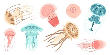 Denizanası çizgi film ikonu koleksiyonu. Medusa moda düz stil ikonu seti. Beyaz arka planda izole edilmiş. Vektör illüstrasyonu