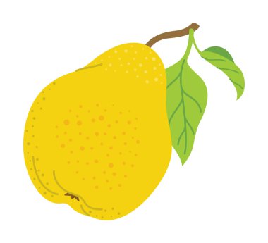 Olgun sulu armut çizgi film stili. Yapraklı taze armut. Modern düz çizim sulu armut, meyve, sağlıklı beslenme. Beyaz arka planda izole edilmiş. Vektör illüstrasyonu