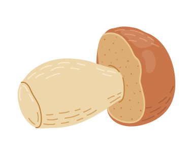 Porcini orman mantarı. El yapımı boletus edulis mantarı. Porcini taze yenebilir mantarlar çizgi film stili dekor elementi. Cep. Beyaz arka planda King Bolete. Penny Bun Vektör illüstrasyonu
