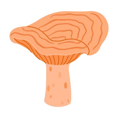 Safran süt şapkası. Yenilebilir orman mantarı yassı ikonu. Lezzetli sütlü çizgi film stili. Mantar Grubu İşlemeli. Beyaz arka planda izole edilmiş kırmızı çam mantarı. Vektör illüstrasyonu