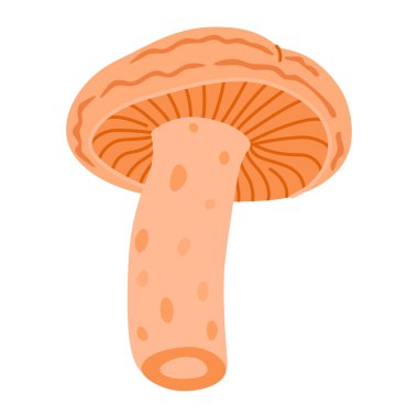 Safran süt şapkası. Yenilebilir orman mantarı yassı ikonu. Lezzetli sütlü çizgi film stili. Mantar Grubu İşlemeli. Beyaz arka planda izole edilmiş kırmızı çam mantarı. Vektör illüstrasyonu