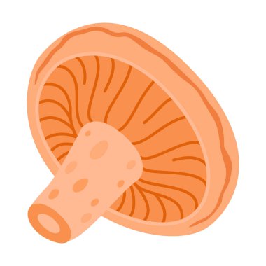 Safran süt şapkası. Yenilebilir orman mantarı yassı ikonu. Lezzetli sütlü çizgi film stili. Mantar Grubu İşlemeli. Beyaz arka planda izole edilmiş kırmızı çam mantarı. Vektör illüstrasyonu