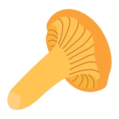 Chanterelle illüstrasyonu. Yenilebilir mantarlar. Sarı mantar. El çizimi moda düz stil. Doodle sonbahar orman hasadı. Vektör illüstrasyonu