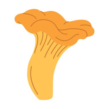 Chanterelle illüstrasyonu. Yenilebilir mantarlar. Sarı mantar. El çizimi moda düz stil. Doodle sonbahar orman hasadı. Vektör illüstrasyonu