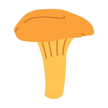 Chanterelle illüstrasyonu. Yenilebilir mantarlar. Sarı mantar. El çizimi moda düz stil. Doodle sonbahar orman hasadı. Vektör illüstrasyonu