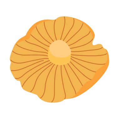 Chanterelle illüstrasyonu. Yenilebilir mantarlar. Sarı mantar. El çizimi moda düz stil. Doodle sonbahar orman hasadı. Vektör illüstrasyonu