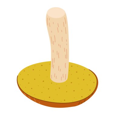 Suillus mantarı. Yenilebilir mantar. El çizimi çizgi film modası beyaz arka planda izole edilmiş düz stil. Sonbahar orman hasadı, sağlıklı organik yiyecekler, vejetaryen yiyecekler. Vektör illüstrasyonu